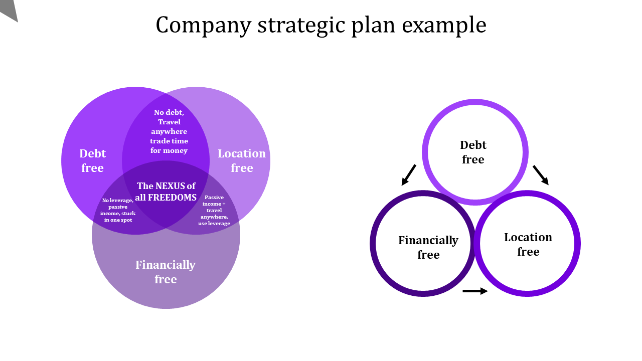 Three overlapping purple circles with labels, illustrating a strategic plan, with arrows pointing in various directions.