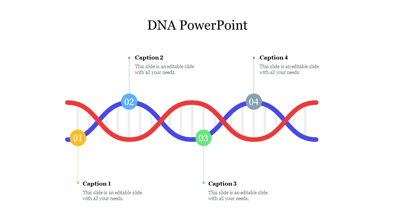 Illustration of a DNA helix in red and blue with numbered points  in yellow, blue, green, and gray, with captions.