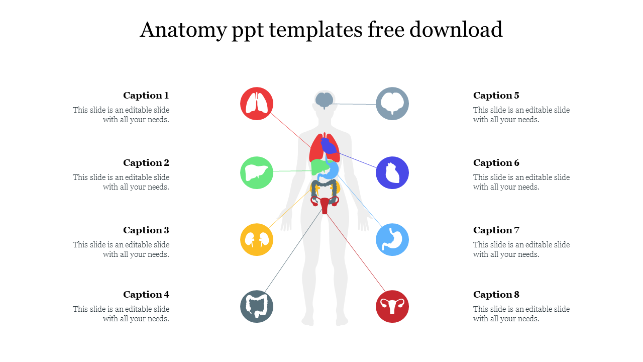 Anatomical diagram with icons for organs, connected to corresponding placeholders on both sides of a central human figure.