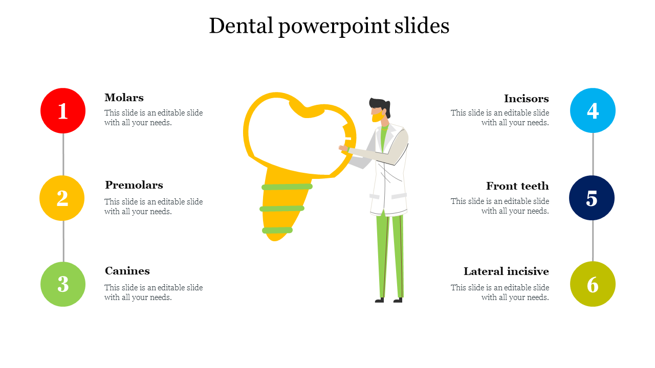 PowerPoint slide with a dentist holding a large tooth and labeled sections for different types of teeth on a white backdrop.