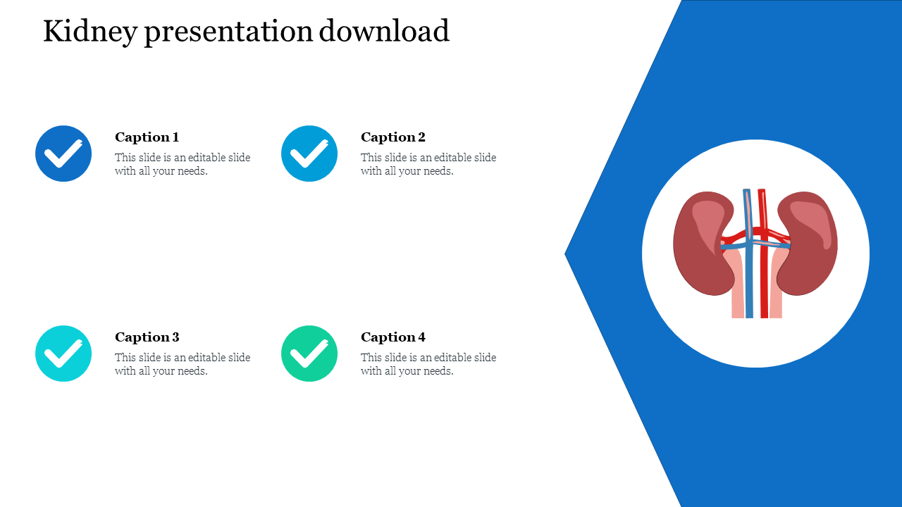 Slide with kidney illustration on blue backdrop and four check mark captions on the left in blue and teal circles.