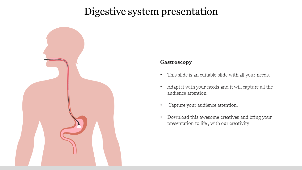 Illustration showing the digestive system with a gastroscopy tool inserted, accompanied by text caption.