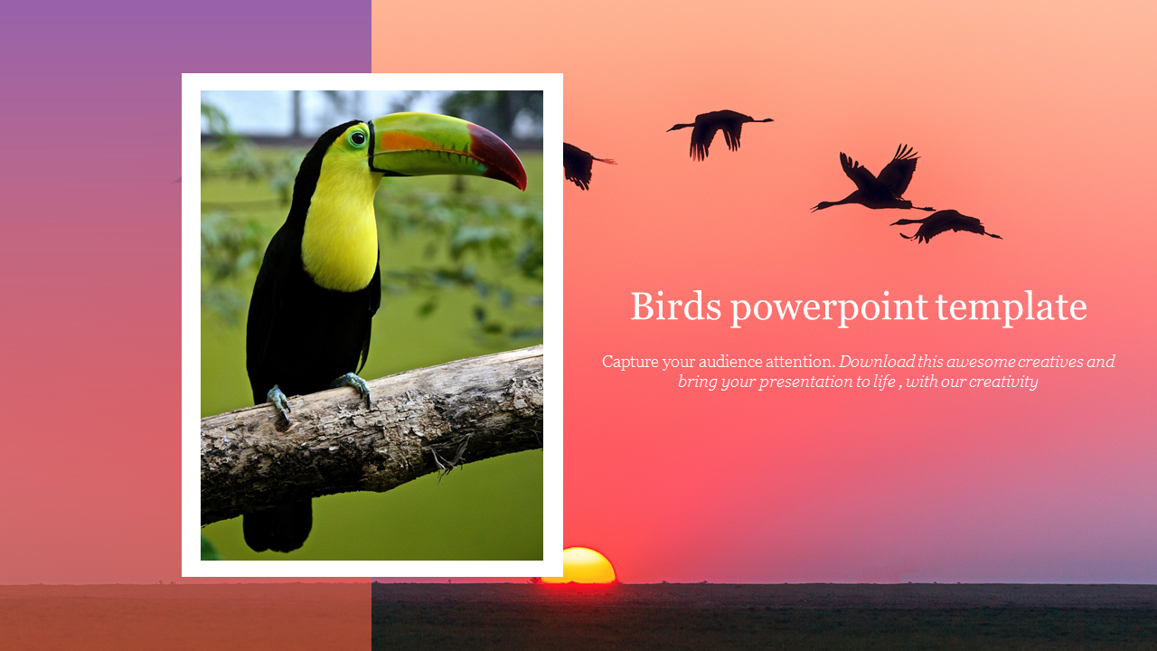 Toucan perched on a branch in a frame and flying birds over a pink gradient sunset background with text on the right.