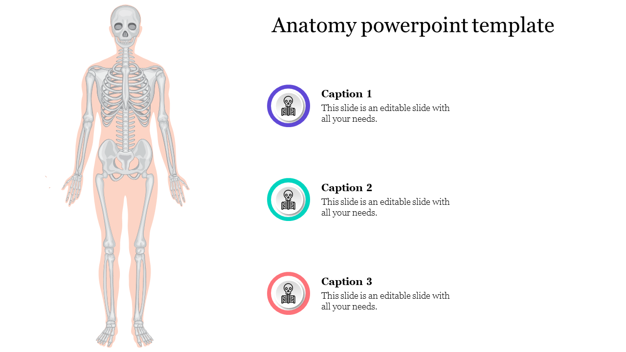 Anatomy PowerPoint Template Themes Design