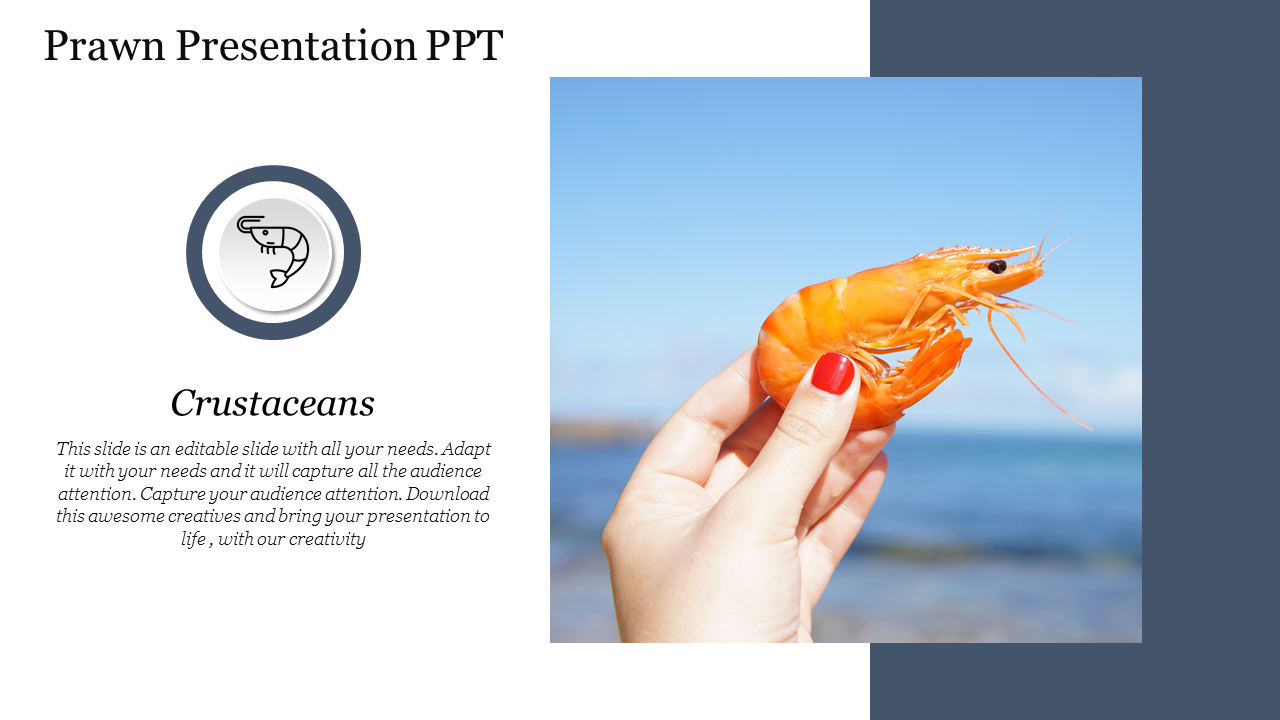 Slide with a photo of a hand holding an orange prawn against a blue sky, and text with icon on the left.