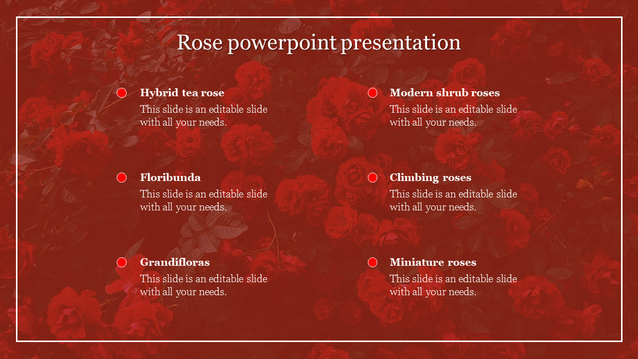  red background with six types of roses: Hybrid tea, Modern shrub, Floribunda, 