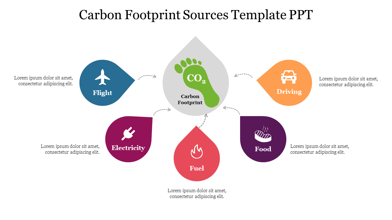 Illustration showing different carbon footprint sources, including flight, driving, food, electricity, and fuel with icons.