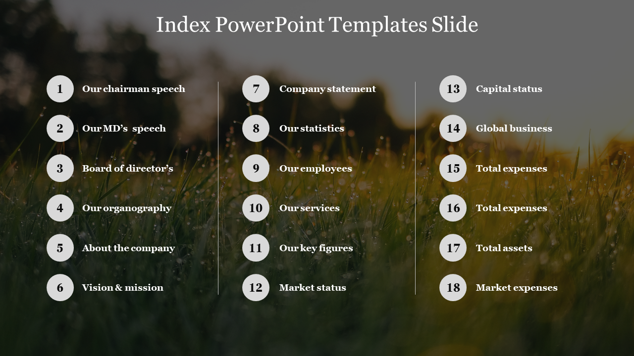 Index slide with a list of 18 items, including vision & mission, our services, and total assets each with numbered circles.