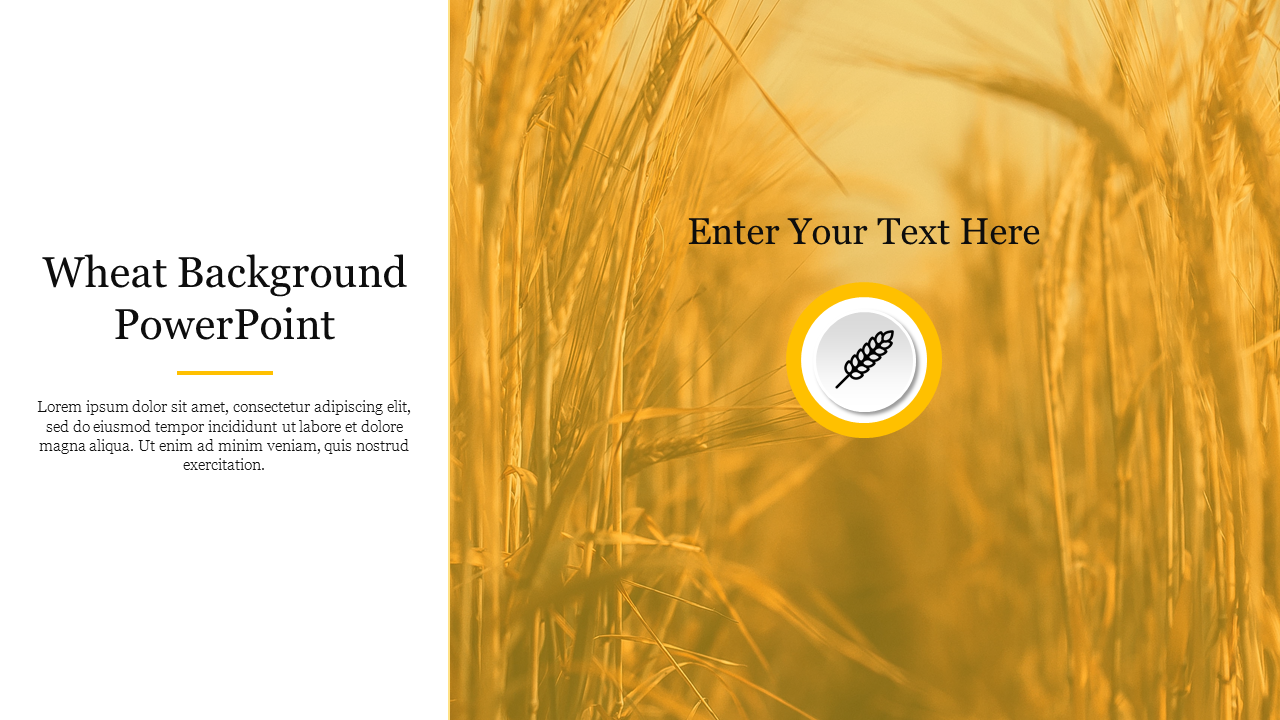 Golden wheat background with a central wheat icon, and a left text area on a white background.