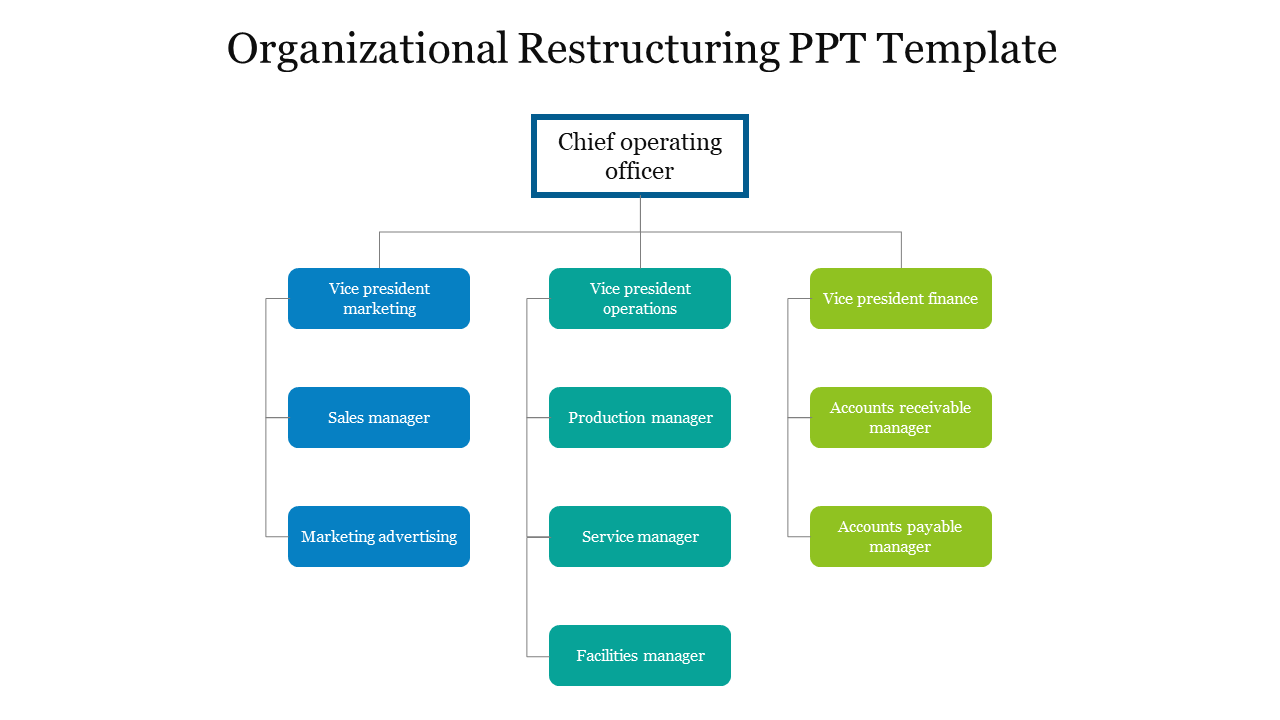 Organizational chart displaying roles under the chief operating officer, with blue, teal, and green text boxes.