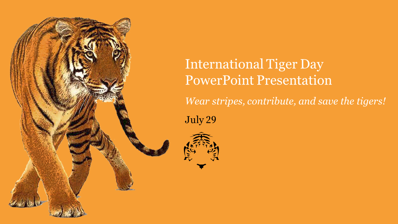 Illustration of a tiger walking on an orange background, with text about International tiger day dated on July 29.