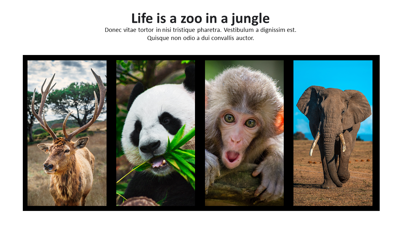 A wildlife themed slide featuring images of a deer, panda, monkey, and elephant under the title Life is a zoo in a jungle.