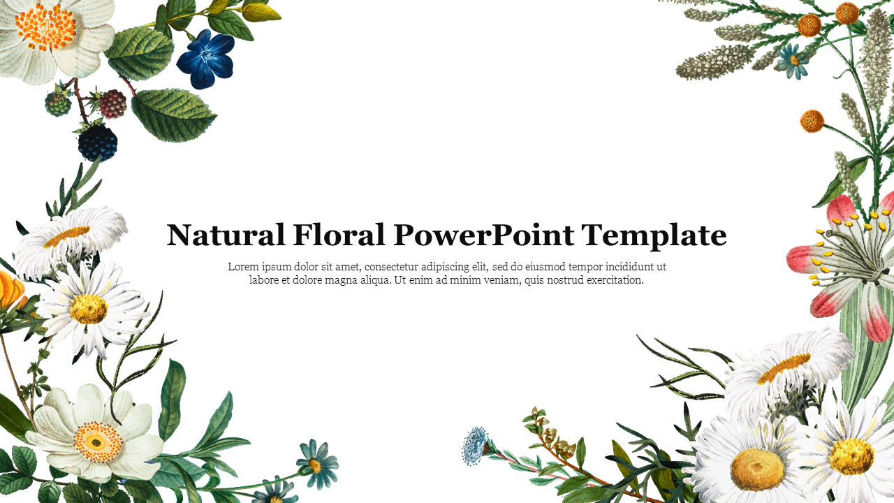 Natural floral design template with colorful daisies, leaves, and delicate blossoms on a white background.