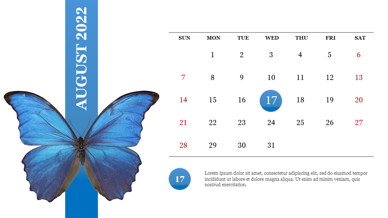 August 2022 calendar PPT template with a blue butterfly image and the 17th day highlighted with placeholder text.