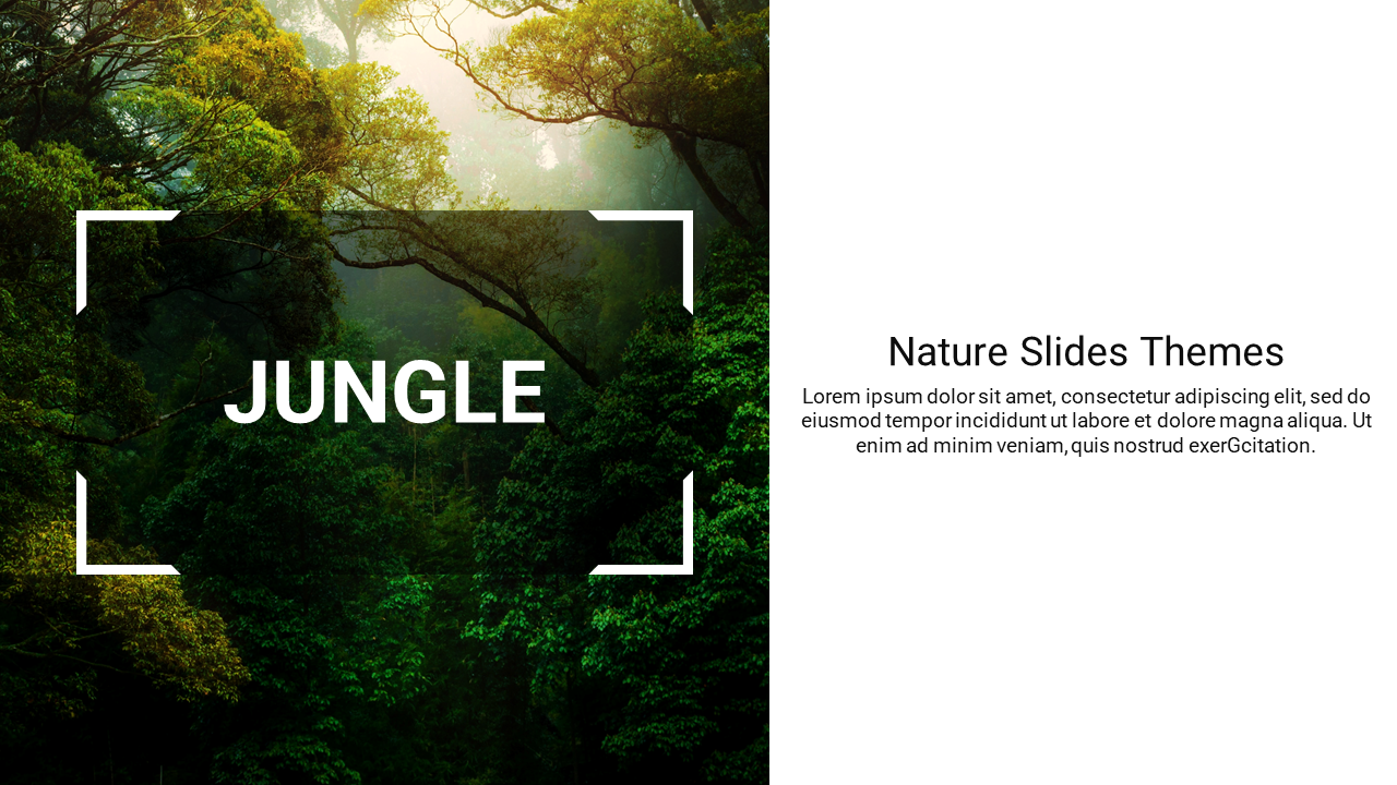 Lush green forest illuminated by sunlight framed with white brackets, and text space on the right.