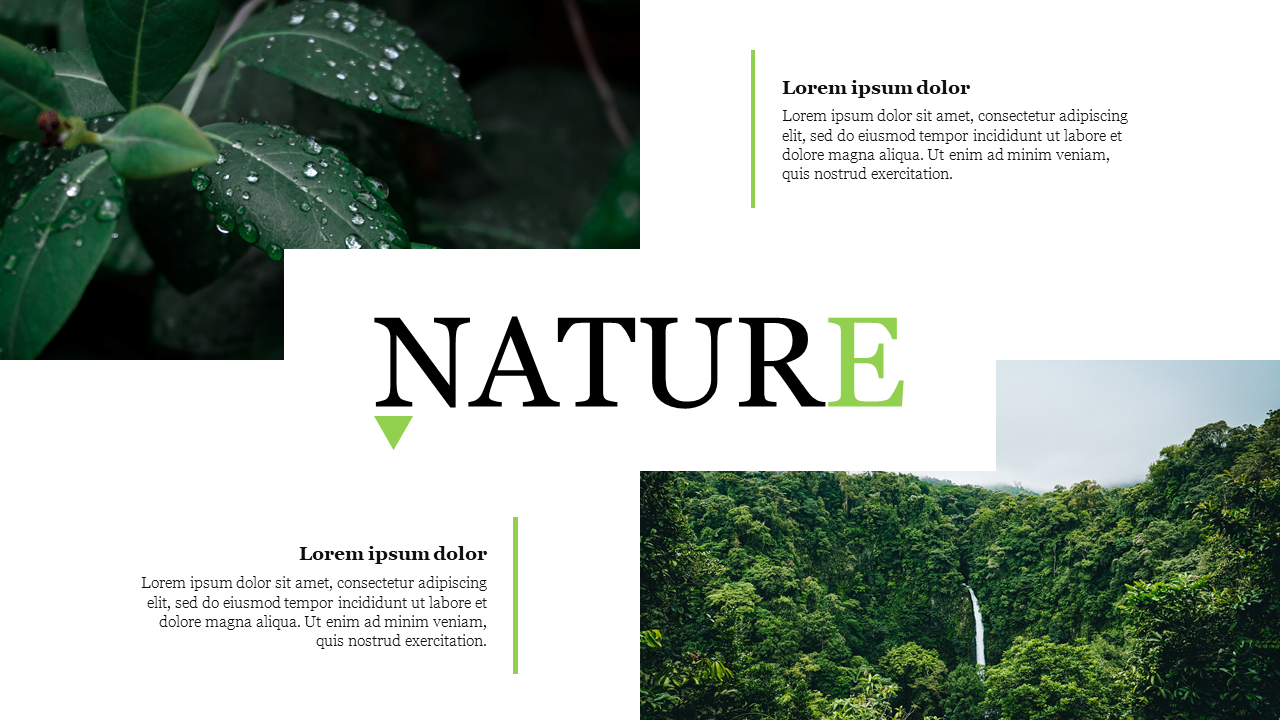 Nature presentation slide featuring lush images of greenery and water droplets with a bold title design and captions.