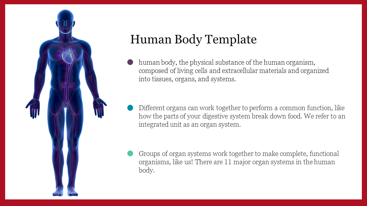 A template with a human body illustration and text explaining the body’s composition, organ systems, and their functions.