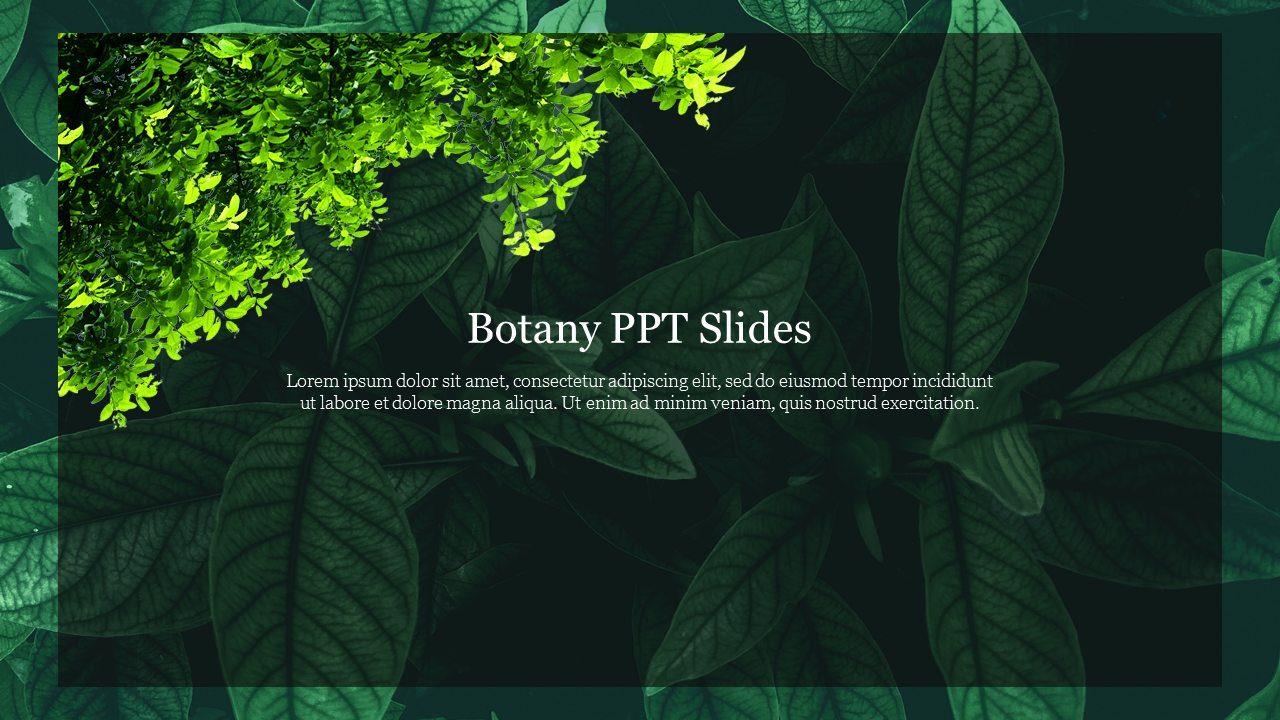 Dense dark leaves fill the background, with a vibrant green plant and a transparent text box overlay in the center.