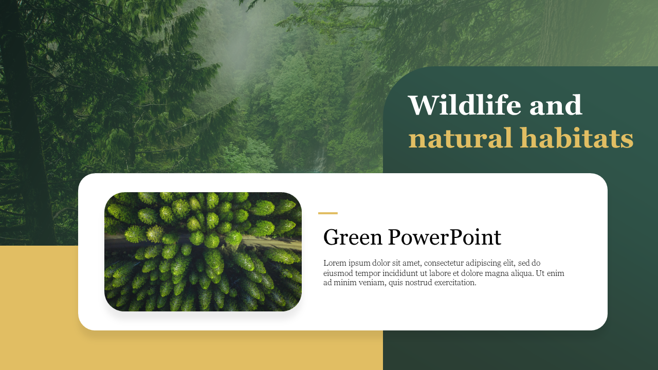 PowerPoint slide with a forest background, featuring a section and placeholder text.