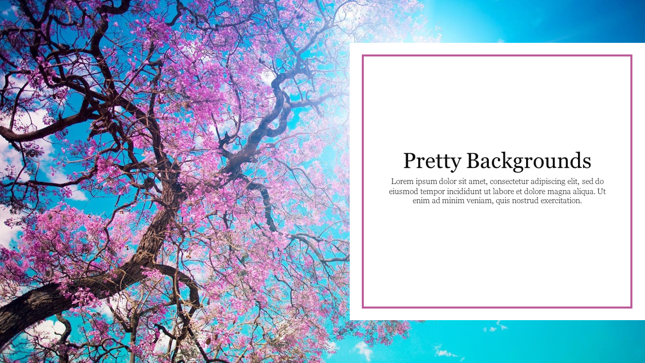 Portfolio Pretty Slideshow Backgrounds Template For Slides