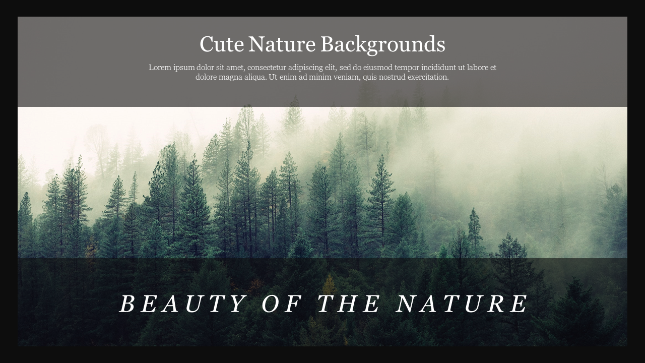 Cute background slide with a serene view of a mist covered pine forest with the text overlaid at the bottom.