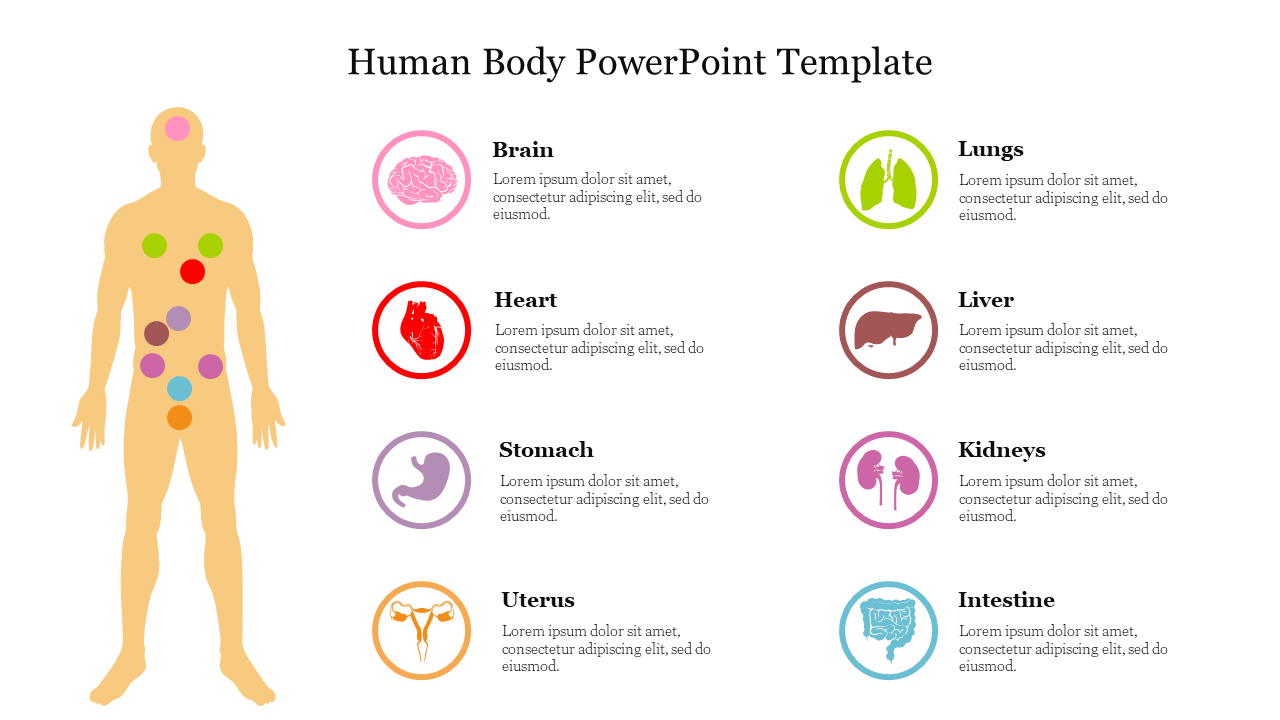 Illustration of the human body with colored circles highlighting different organs, matched with icons in a column layout.