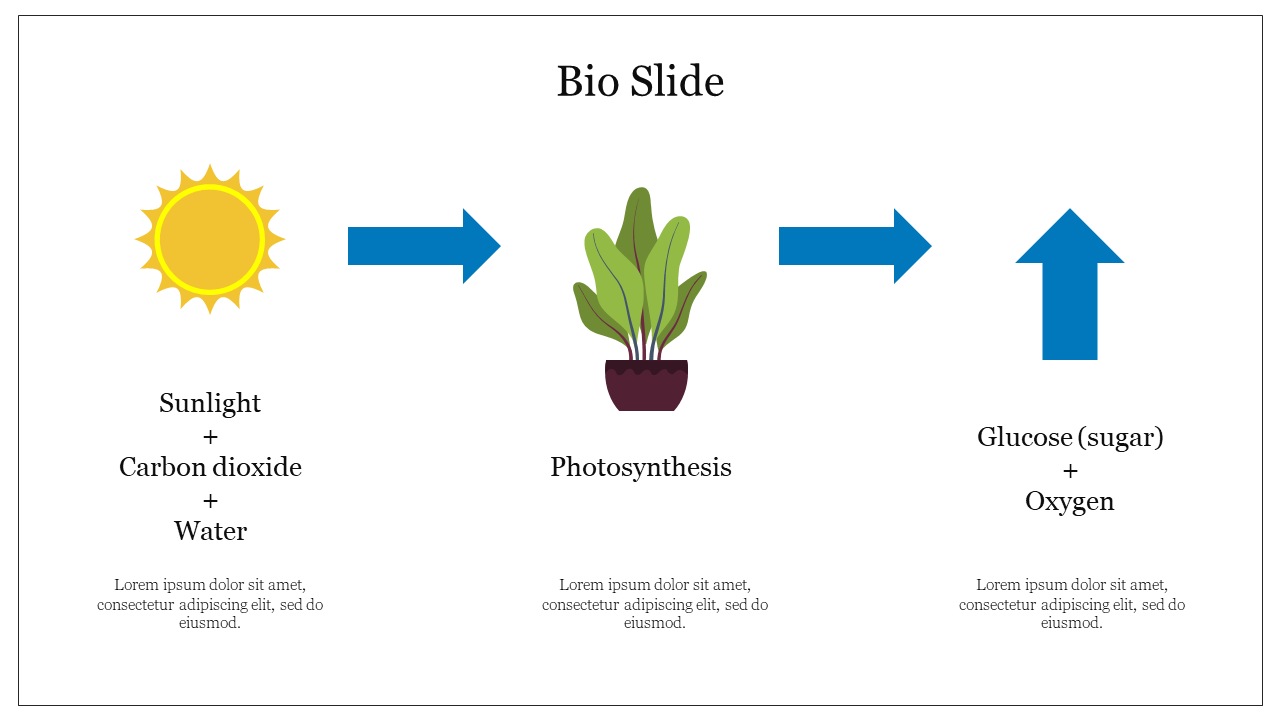 Bio slide showing the process of photosynthesis sunlight, carbon dioxide, and water transforming into glucose and oxygen.