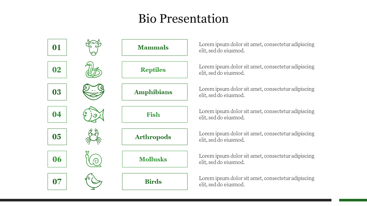 Slide featuring numbered sections for different animal groups, each with a green icon and title, from mammals to birds.