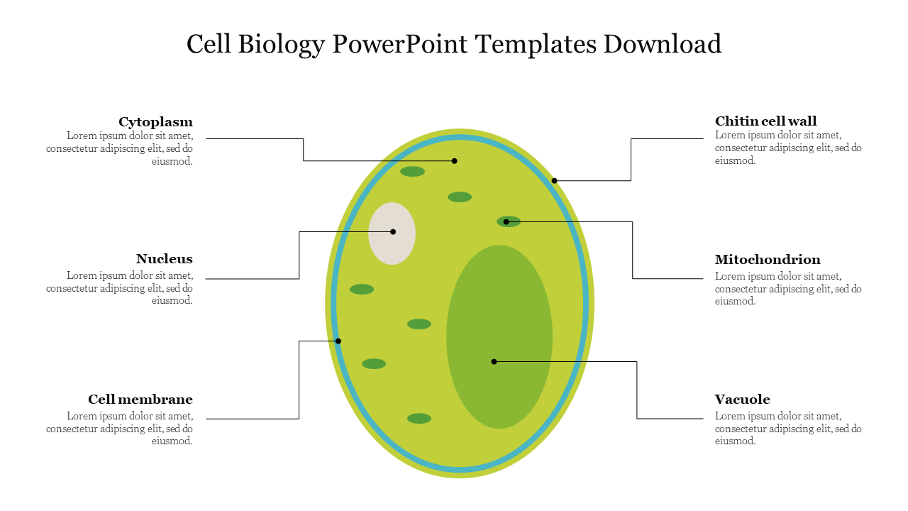 Colorful illustration of a cell diagram showing labeled parts with placeholder text for each.