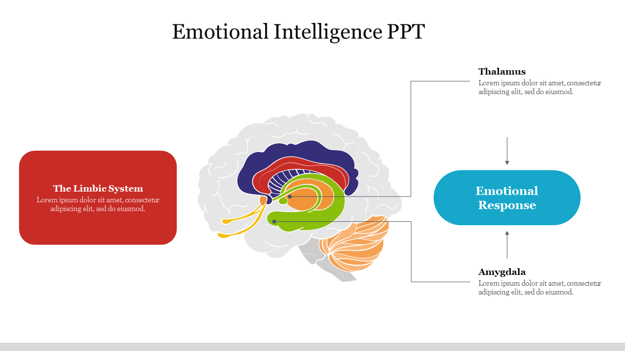 A slide on emotional intelligence which includes a brain diagram with labeled parts and each with caption areas.