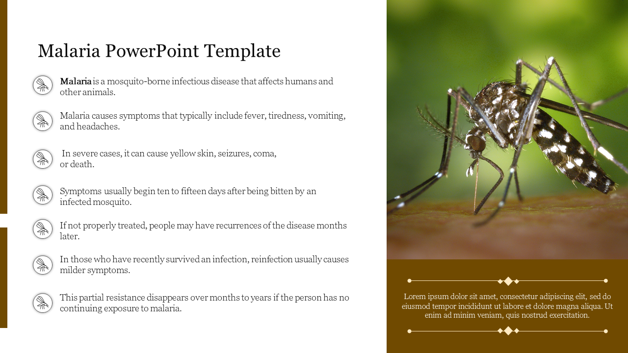 Malaria presentation slide with text on symptoms and a detailed mosquito image on the right.