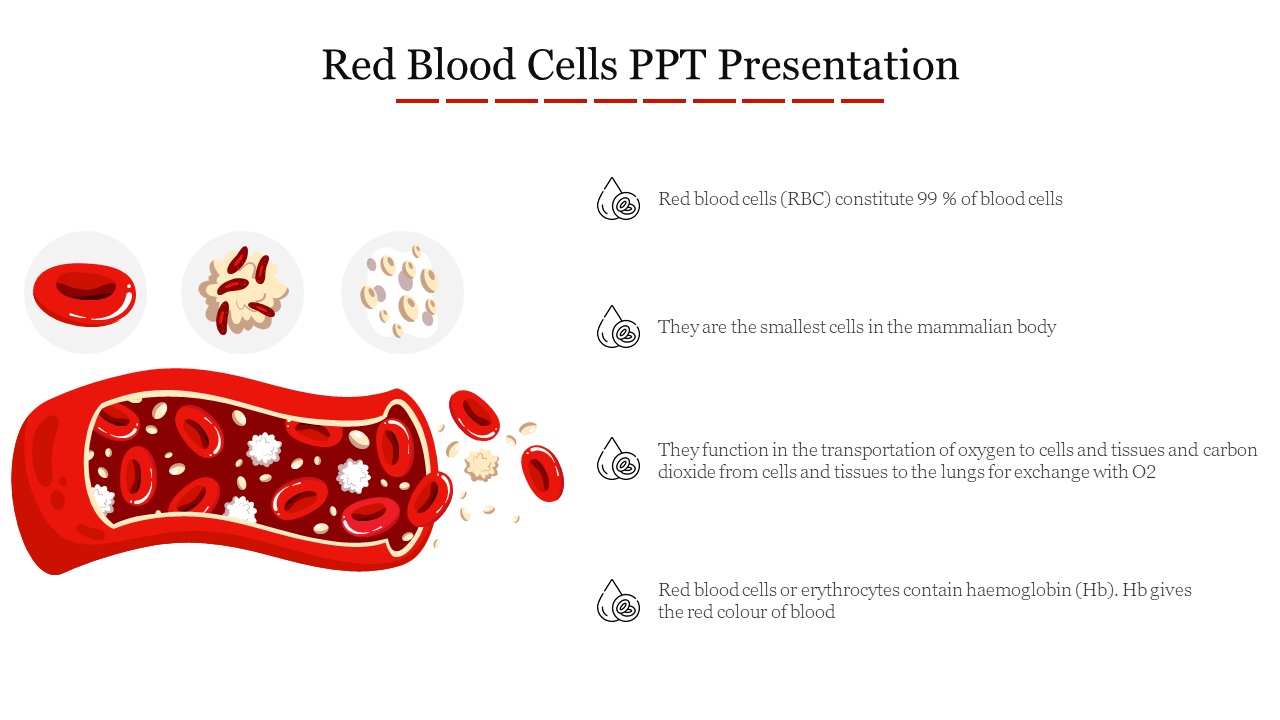 Slide featuring red blood cells with visuals of RBCs, white blood cells, and a cross section of a blood vessel.