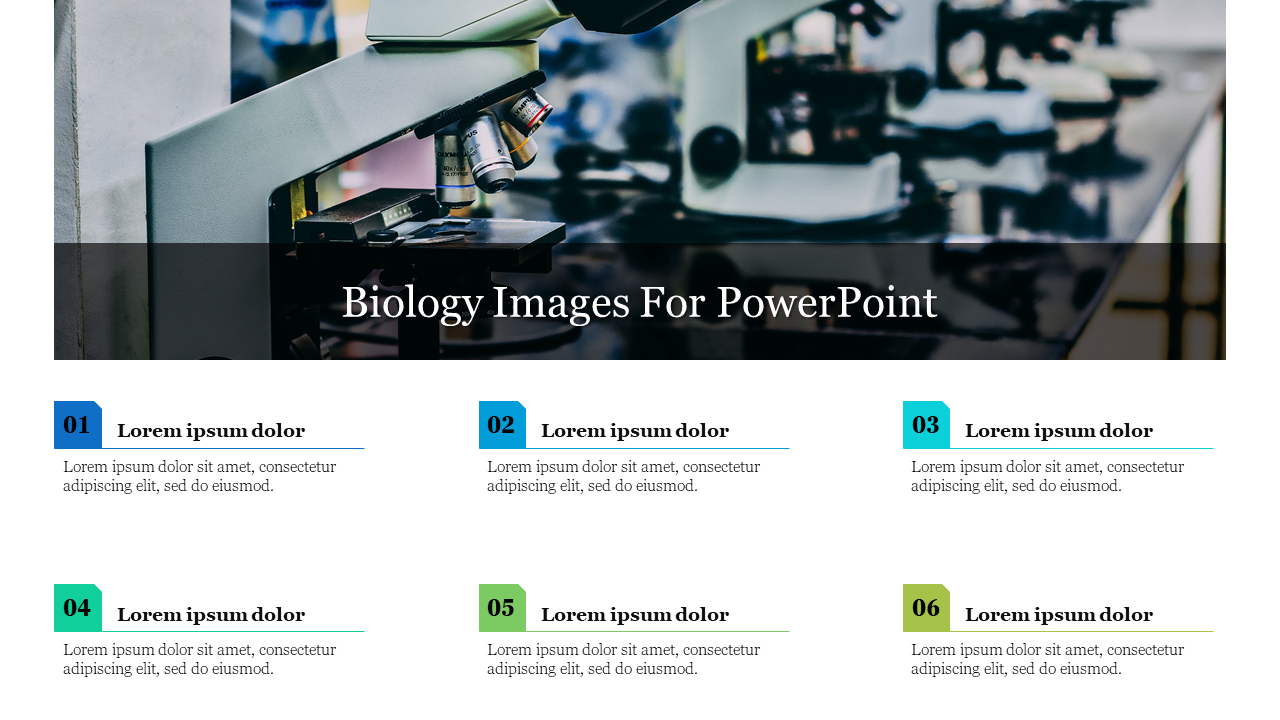 Slide with a microscope image at the top and six numbered text boxes in blue and green shades at the bottom white section.