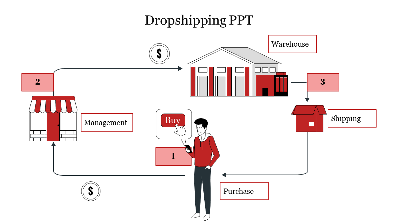 A diagram slide illustrating the dropshipping process showing steps from management to purchasing and shipping.