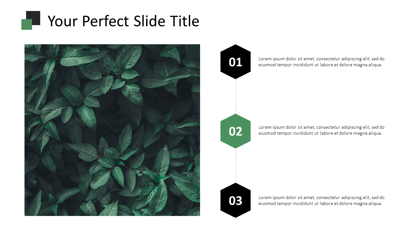 Table of contents slide featuring a square box with leaves image, and three hexagonal captions for section highlights.