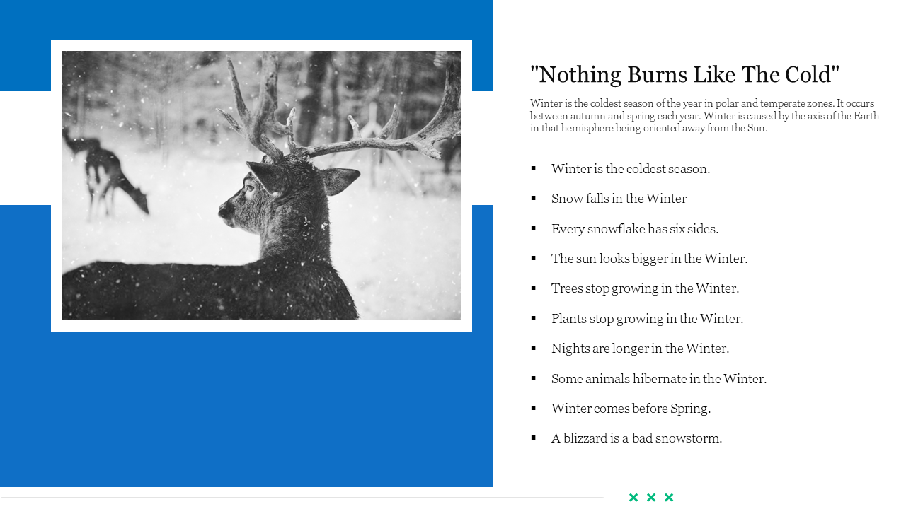 Effective Winter PowerPoint Modern Template Presentation 