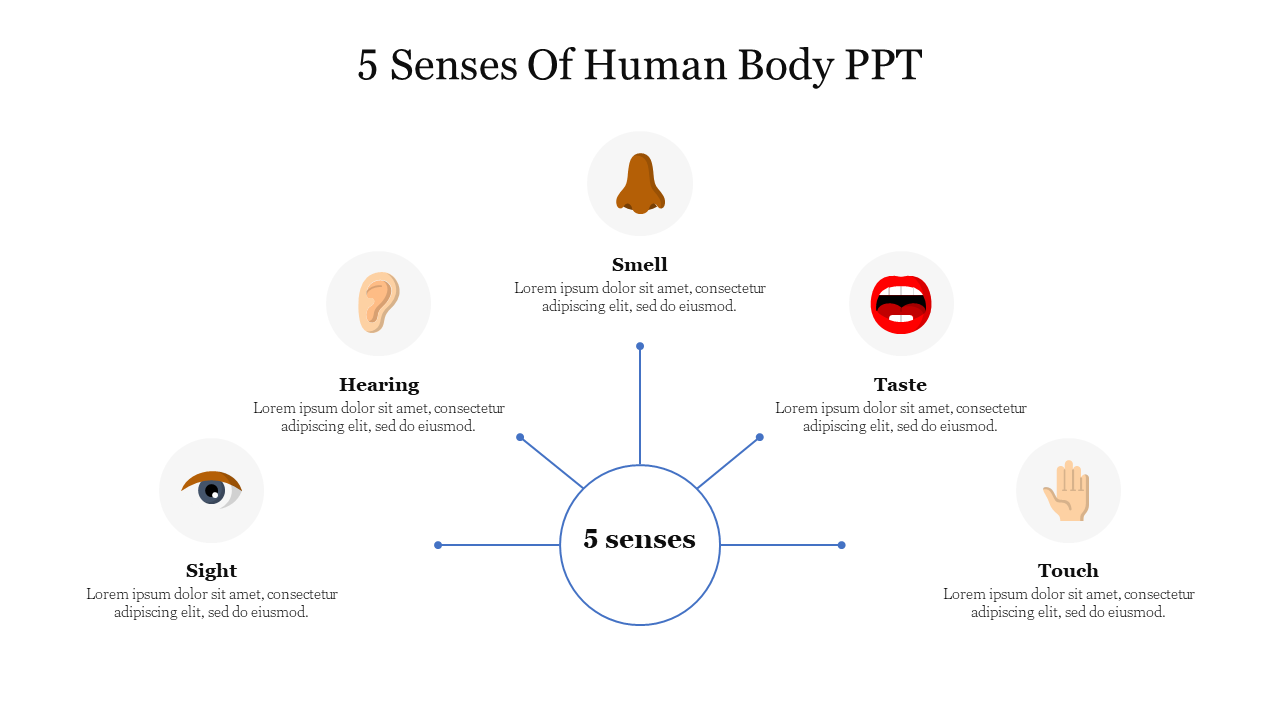 Five icons for the human senses of eye, ear, nose, mouth, and hand, are connected to a central circle, each with text.