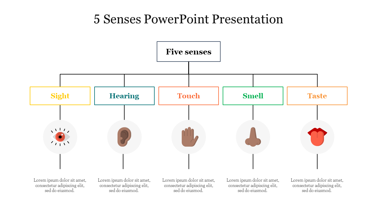 Diagram illustrating the five senses sight, hearing, touch, smell, and taste with corresponding icons.