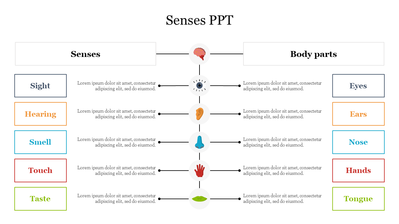 Slide showing a chart with five central icons connecting senses to body parts in colored boxes on each side.