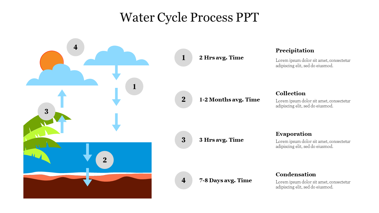 The water cycle process diagram shows four stages with average time durations and placeholder text.