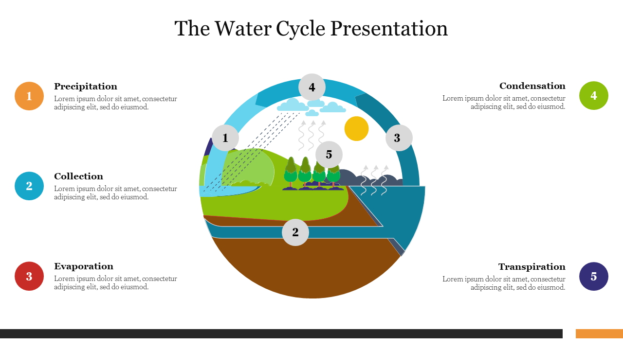 Water cycle presentation diagram illustrating the stages from precipitation to transpiration, with numbered labels.