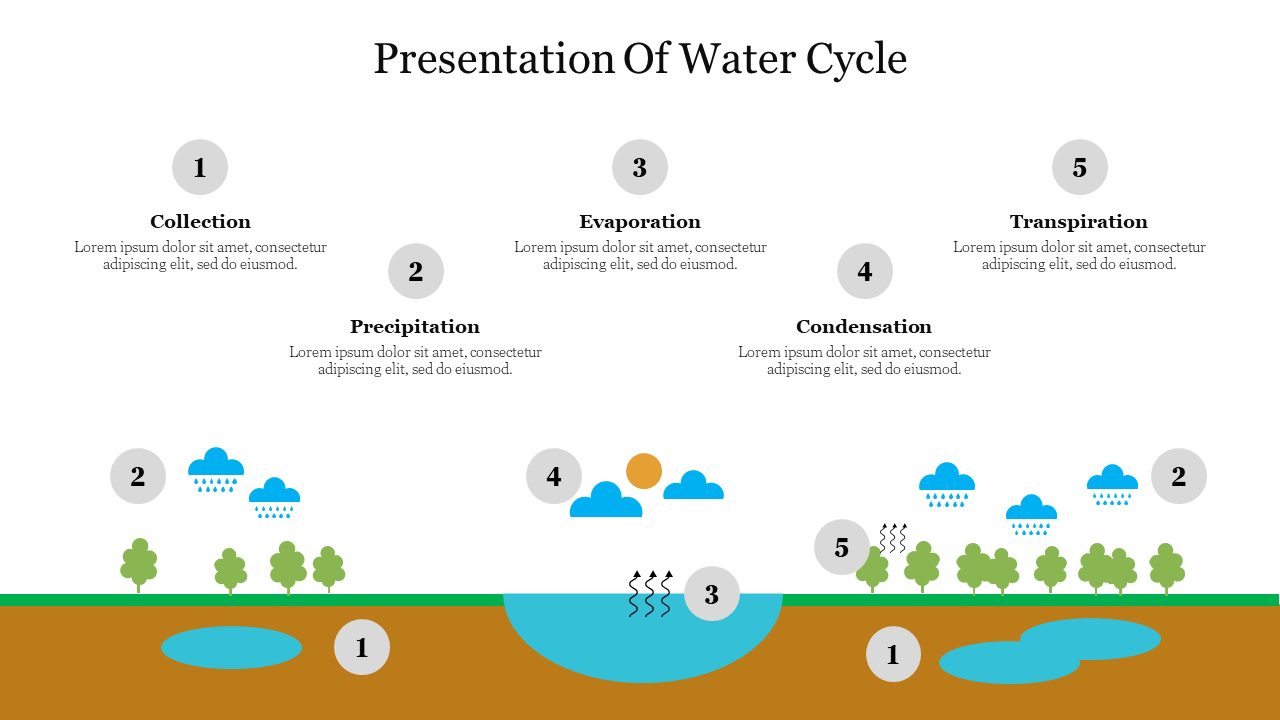 Illustration of the water cycle showing evaporation, condensation, and other processes with icons and labeled stages.