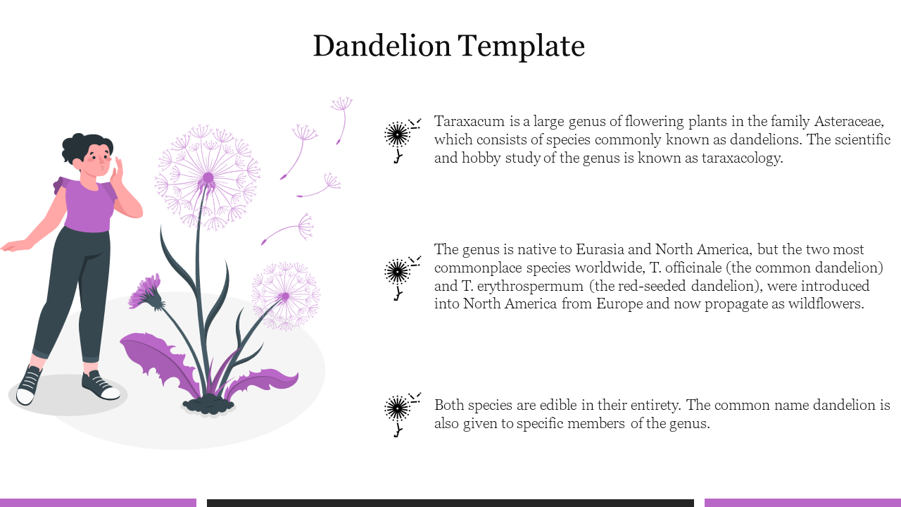 PowerPoint slide with a dandelion plant illustration and a person observing it, describing the plant genus and its species.