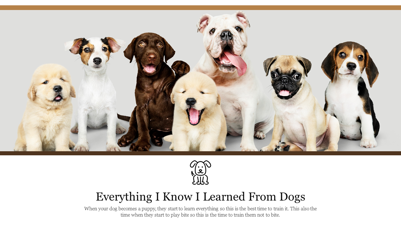 Group of adorable puppies of different breeds sitting together, with a quote about learning from dogs.