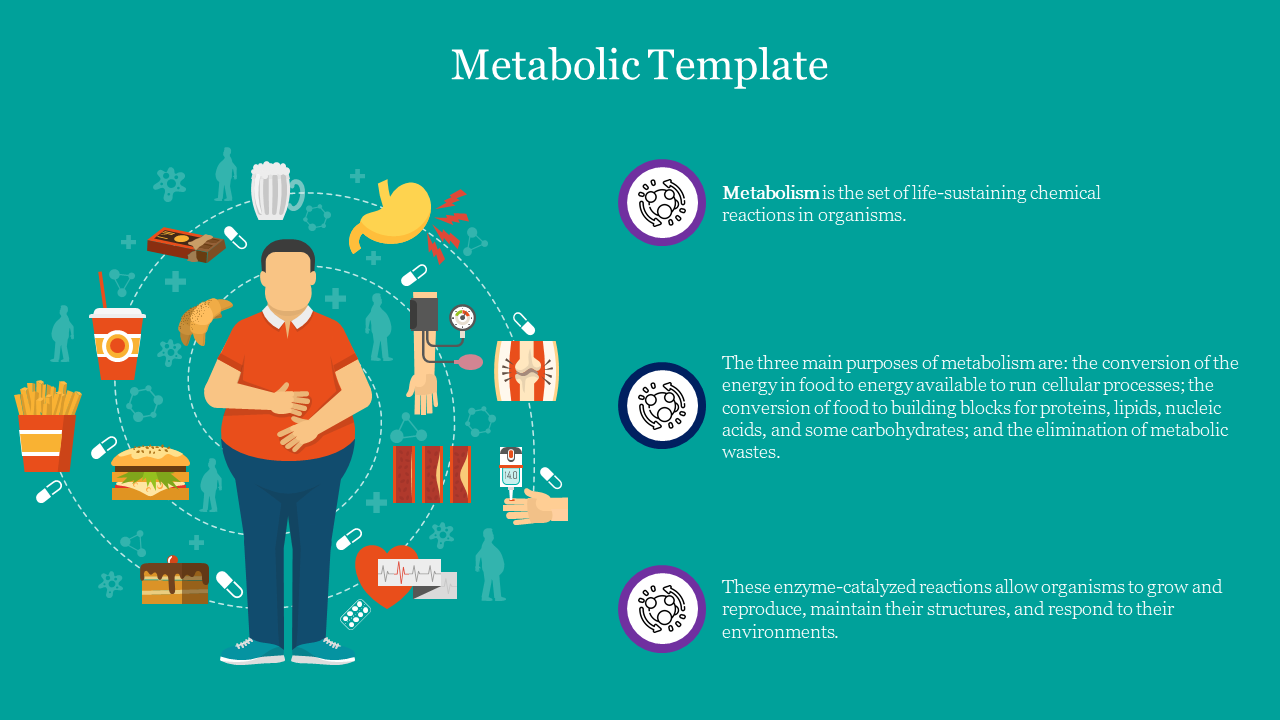 Illustration of a person surrounded by food icons, next to three descriptive metabolism text sections, on a teal background.