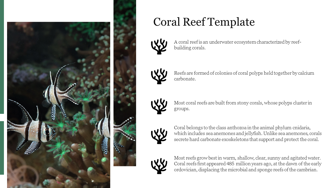 Coral Reef PowerPoint Template For Presentation 