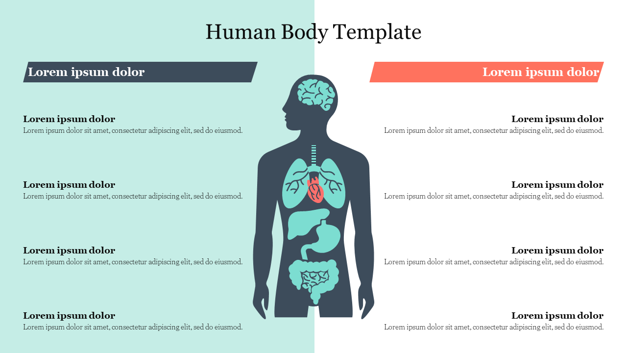 Human body silhouette showing internal organs on a split slide of teal and white, with text on each side.