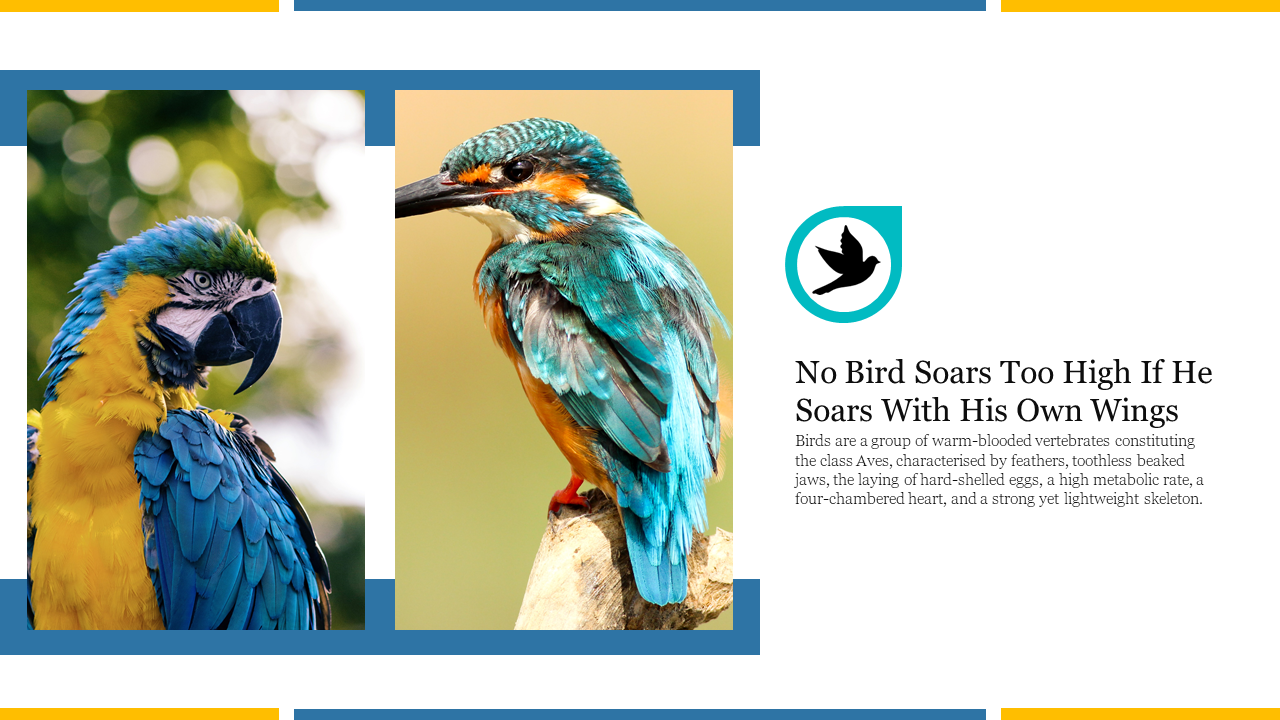 Creative PowerPoint Presentation On Birds Template 