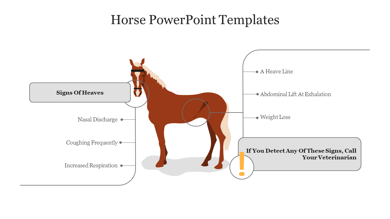 Illustrated horse slide explaining symptoms of heaves like increased respiration and abdominal lift at exhalation.