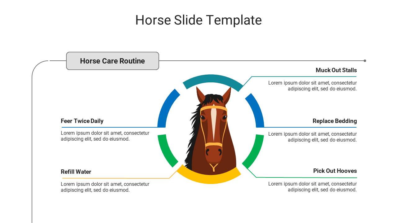 Horse illustration the middle, encircled by green, blue, and yellow arcs, each connected to specific care instructions.